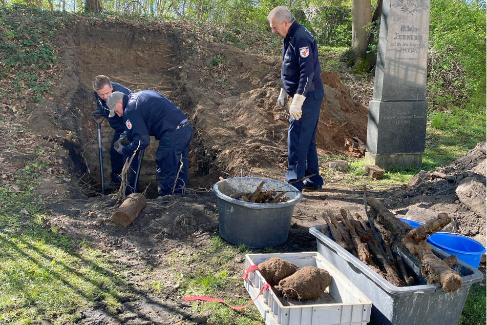 Sterbliche Überreste von Menschen im Süden Brandenburg entdeckt