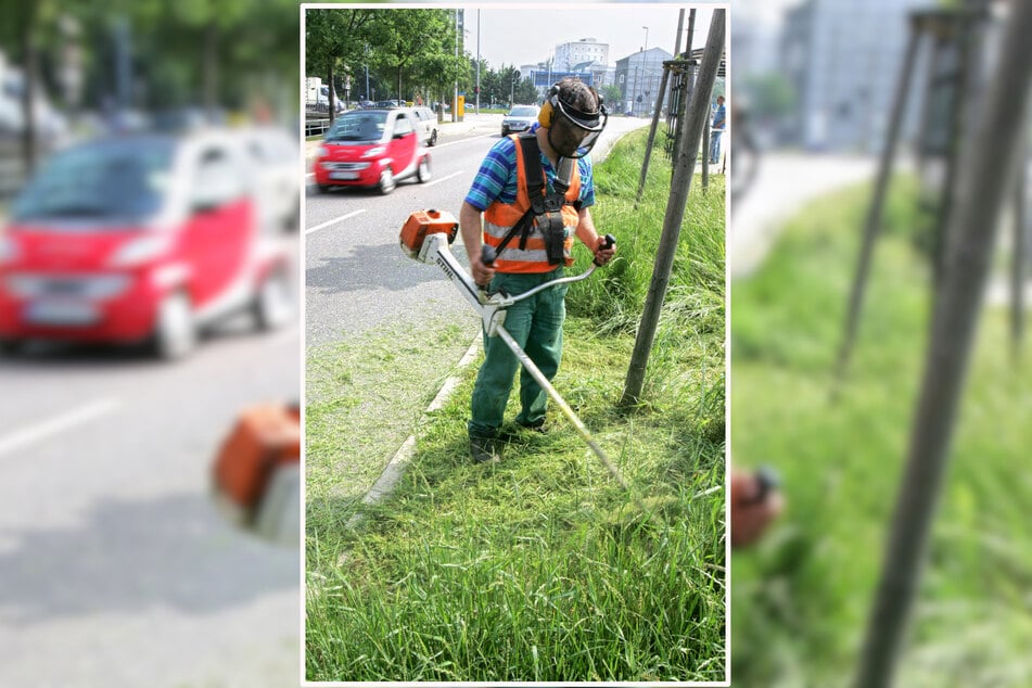 Der Vogtlandkreis hat bald kein Geld mehr für die Unterhaltung der Staatsstraßen. Auch die Grasmahd ist betroffen.