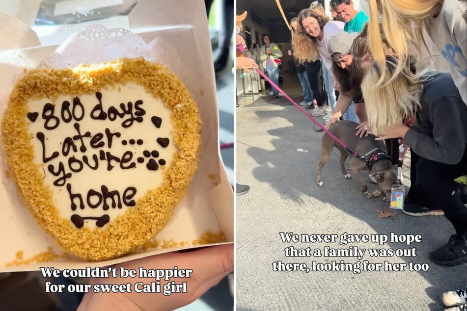 Mit einem Hundekuchen wurde die Hündin gebührend verabschiedet.