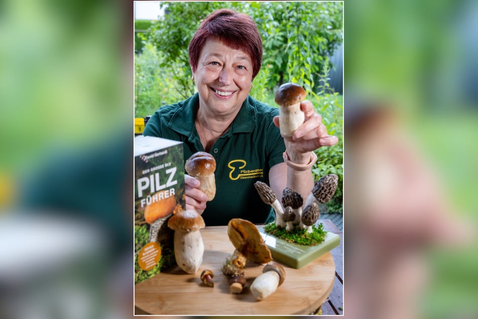 Laut Pilzberaterin Jana Colditz (60) vom Verein Pilzberater Südwestsachsen dauert die Pilz-Hauptsaison immer länger.
