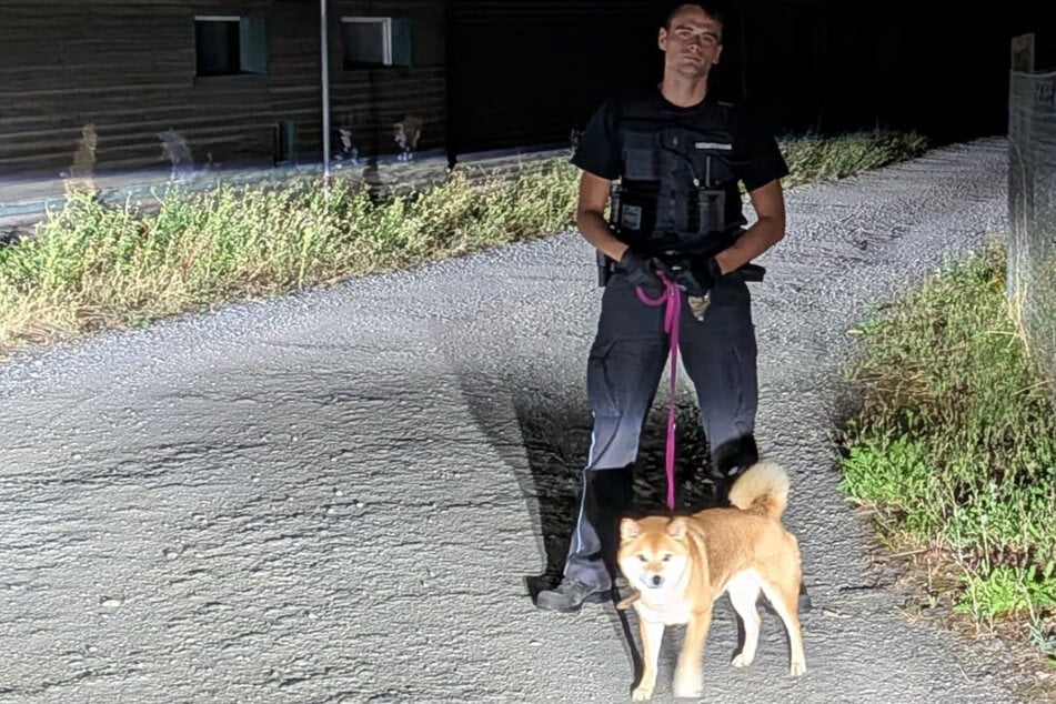 Allein auf der A9 unterwegs: Vermisster Hund "Simba" von Polizei eingefangen
