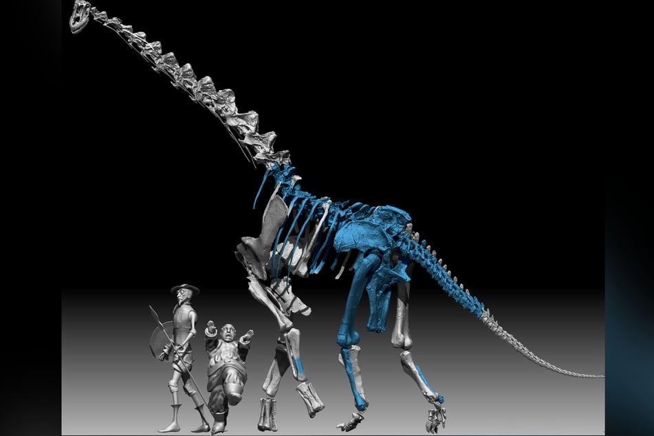 Eine 3D-Rekonstruktion eines Qunkasaura-Skeletts im Größenvergleich mit Menschen.