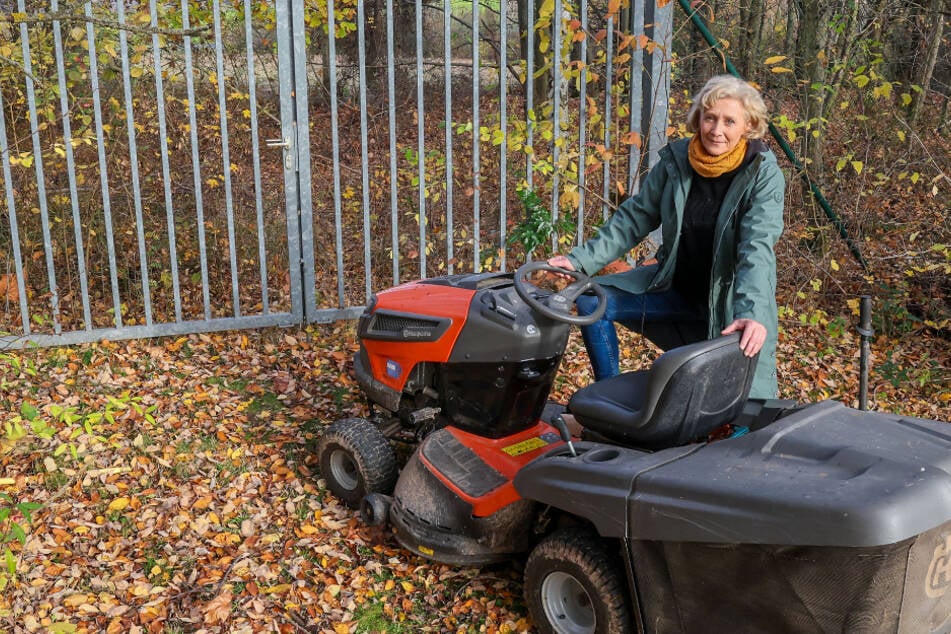 Dämliche Einbruchs-Aktion in Miniwelt Lichtenstein: Täter scheitern am Tor