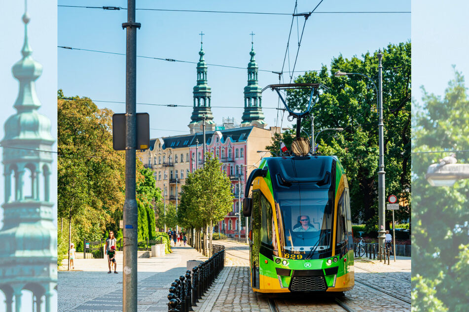 Eine Straßenbahn fährt durch die beschauliche Großstadt Poznań in Polen.