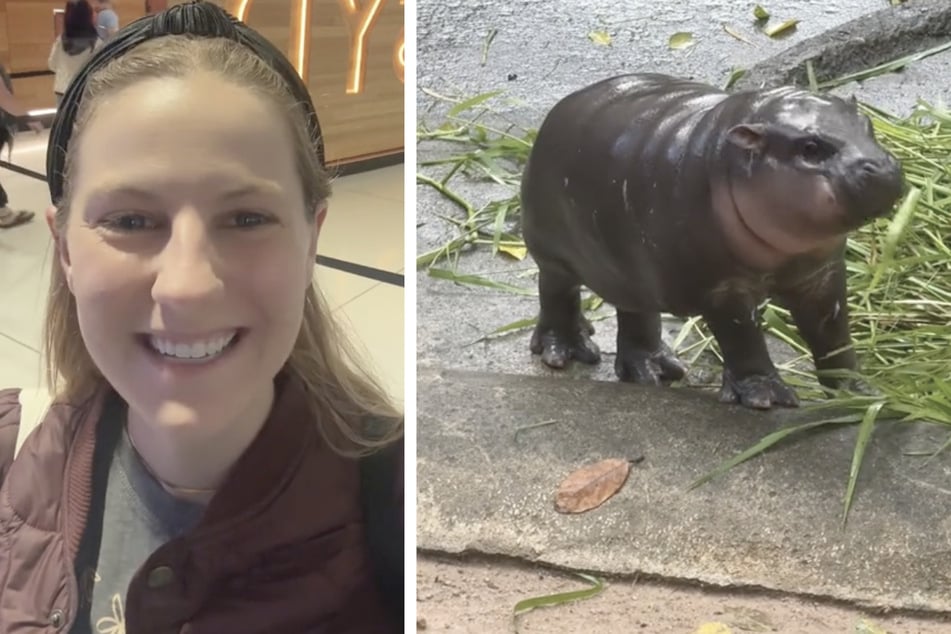 Molly Swindall traveled halfway around the world for the cute baby hippo Moo Deng.