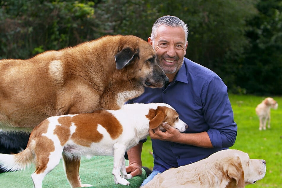 Hundetrainer Andreas Ohligschläger (57) hilft bei Problemen zwischen Mensch und Tier.