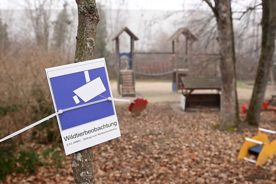 Der Kindergarten St. Michael in Breisach (Baden-Württemberg) muss wegen Wildtieren videoüberwacht werden.