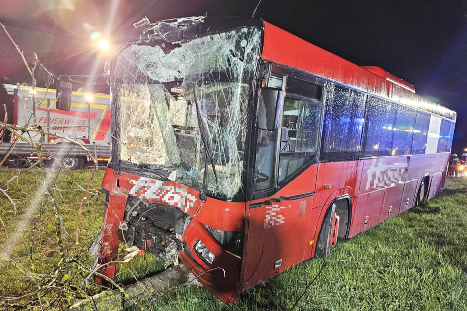 Der Bus des Unfallverursachers (56) wurde schwer beschädigt.