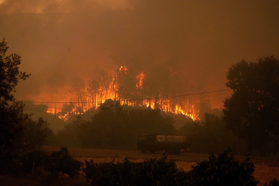 Eine Fläche von 35.000 Fußballfeldern fiel den Flammen in Portugal bereits zum Opfer.
