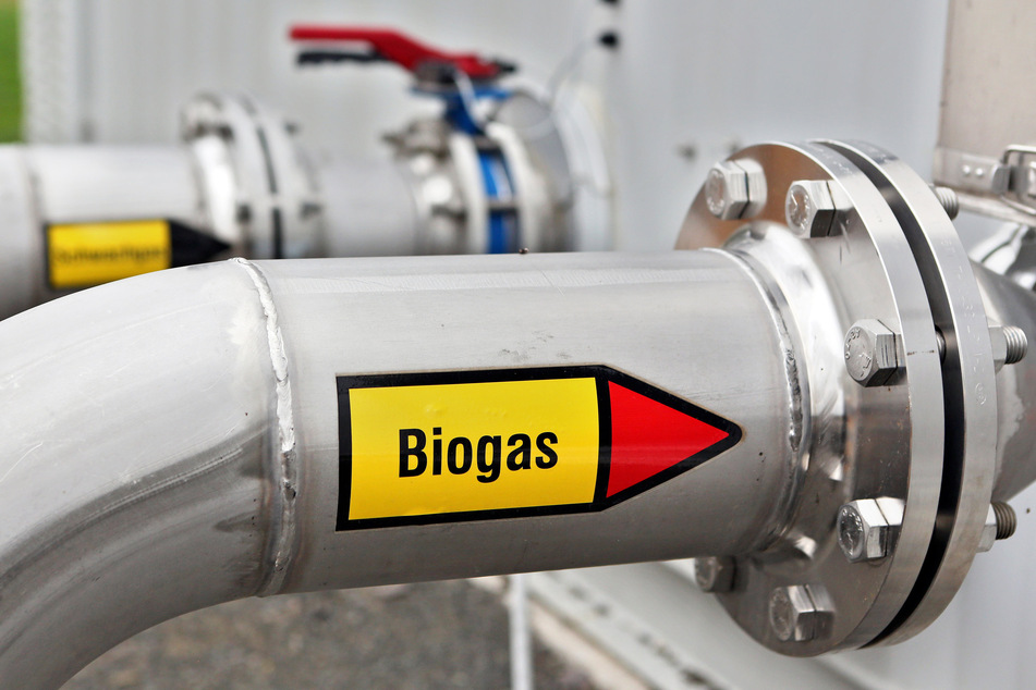 Um die Kapazitäten von Biogas-Anlagen zu erhöhen, braucht es Anreize vom Staat, so Experten.