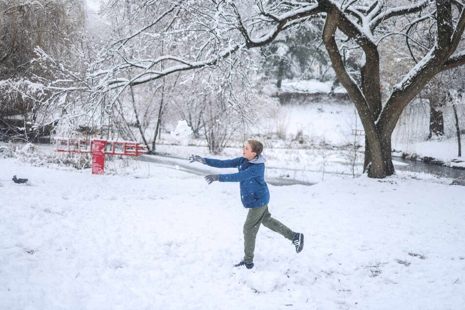 Central Park was covered in snow on Tuesday as a powerful winter storm battered the region, causing flight cancellations and closing schools.