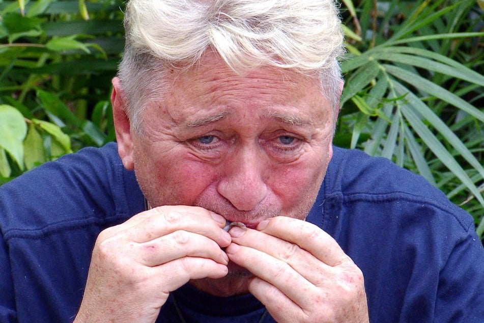 Für Fella waren laut eigener Aussage die Dschungelprüfungen das Schlimmste. Im Finale musste er unter anderem Zungen und Augen essen.