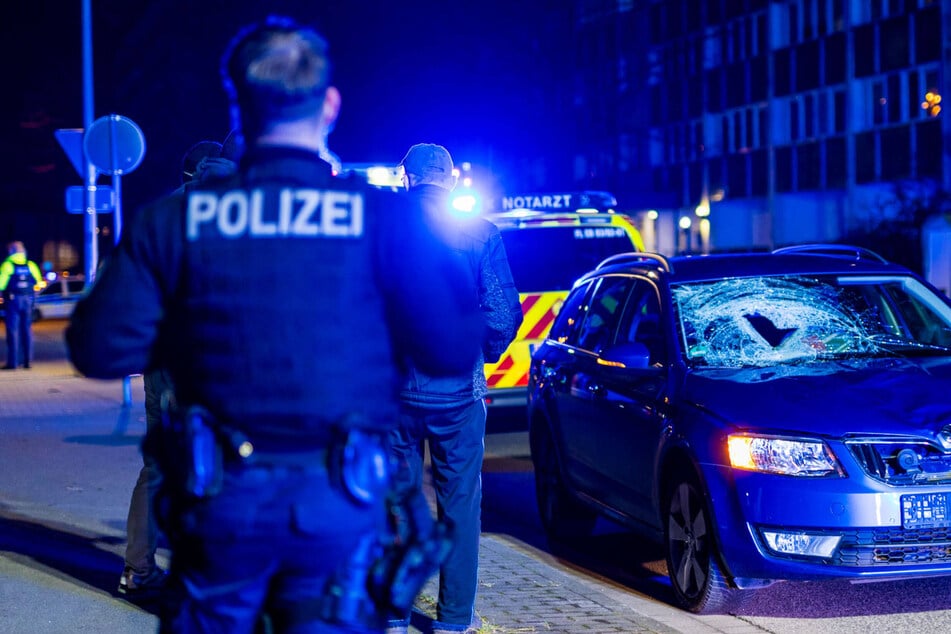 Auto bremst zu spät – Fußgänger und Hund schwer verletzt