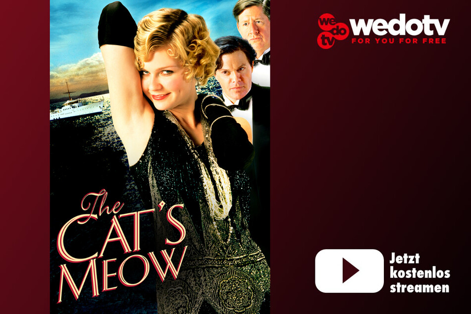 The Cat's Meow - Tod in Hollywood