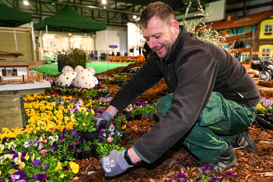 Verwandelt die Halle in ein Meer aus Blumen: Garten- und Landschaftsbau-Meister Rafael Boedecker (36).