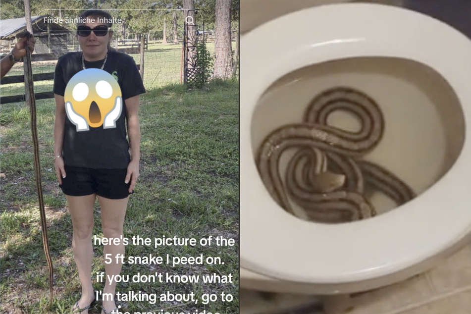 Christina Phillip hatte eine 1,50 Meter lange Schlange in ihrem Bad entdeckt.