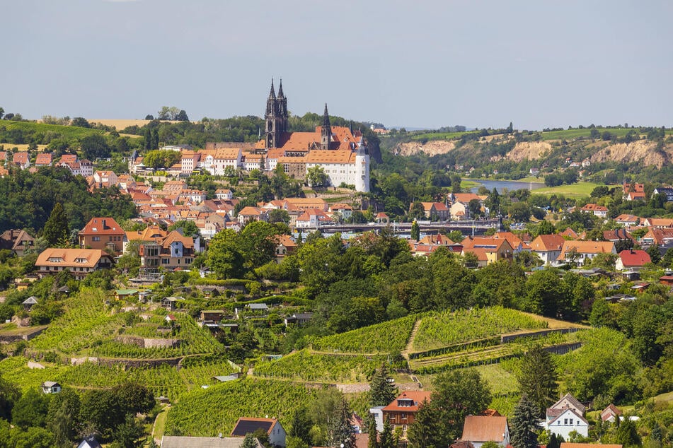 Die Weinwerkstatt bewirtschaftet insgesamt 45 Hektar Rebfläche, etwa im Spaargebirge.