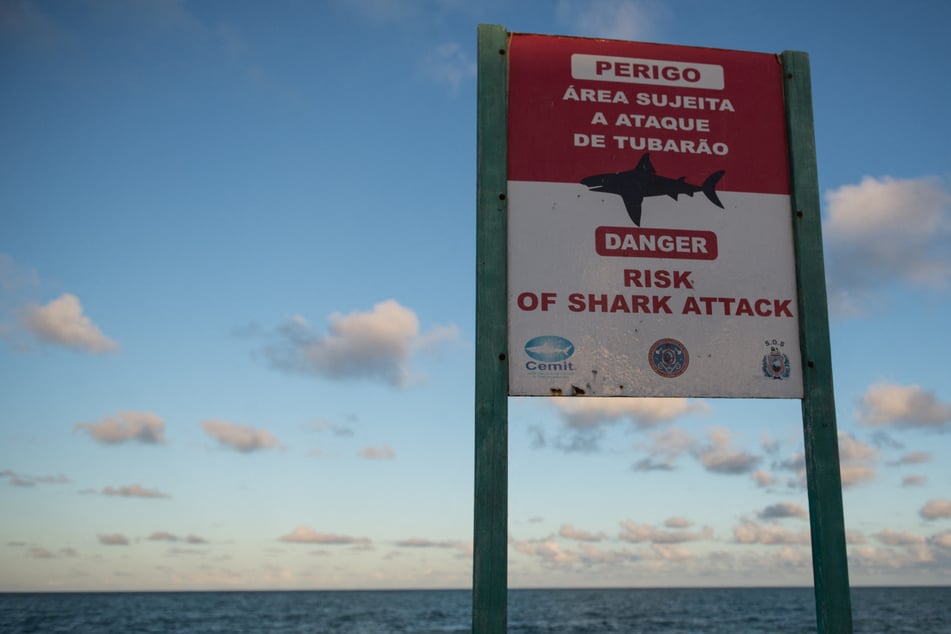 Hai tötet 13-Jährigen vor den Augen seiner Freunde