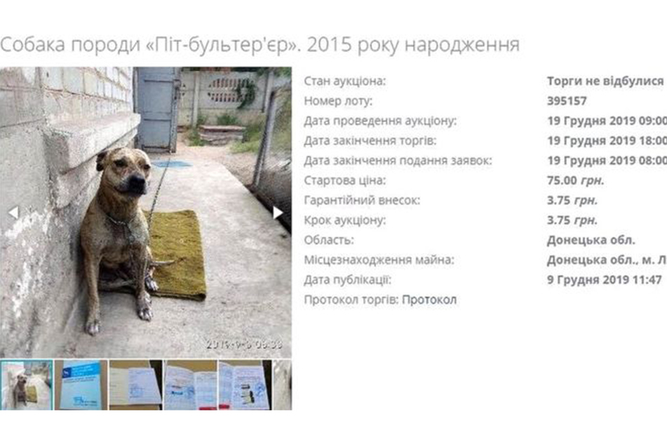 Dieser Hund wurde für 75 ukrainische Griwna angeboten. Umgerechnet sind das gerade einmal etwas mehr als 2,50 Euro.