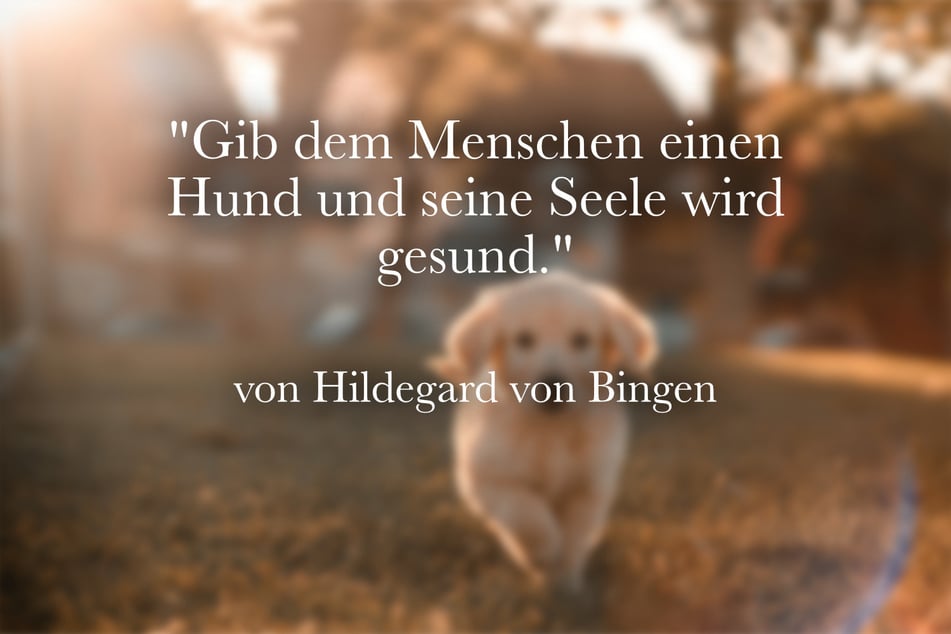 Hildegard von Bingen hielt fest: "Gib dem Menschen einen Hund und seine Seele wird gesund."