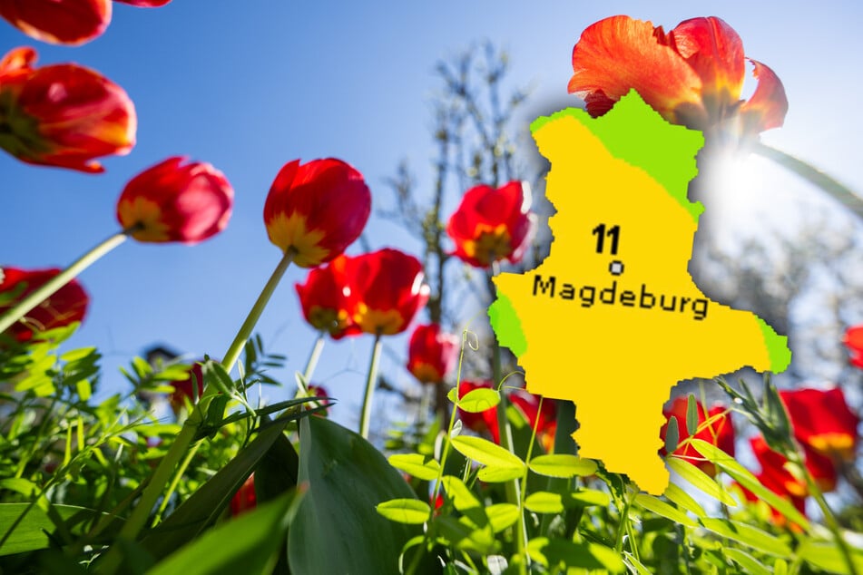 Das Wetter über Ostern in Sachsen-Anhalt wird sonnig.