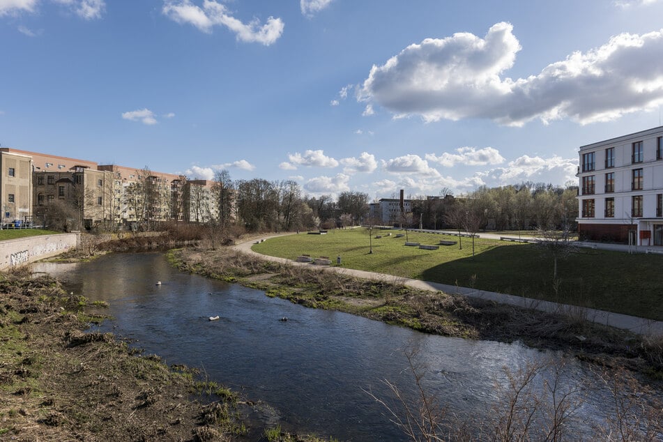 Nahe der Aue Chemnitz könnte für zehn Millionen Euro eine neue Sporthalle für Schulen, Vereine, und die Feuerwehr entstehen.