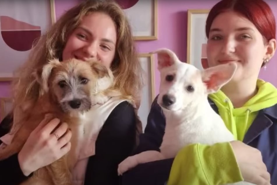 Happy ending: Marshmallow and Fluffy have a new family.