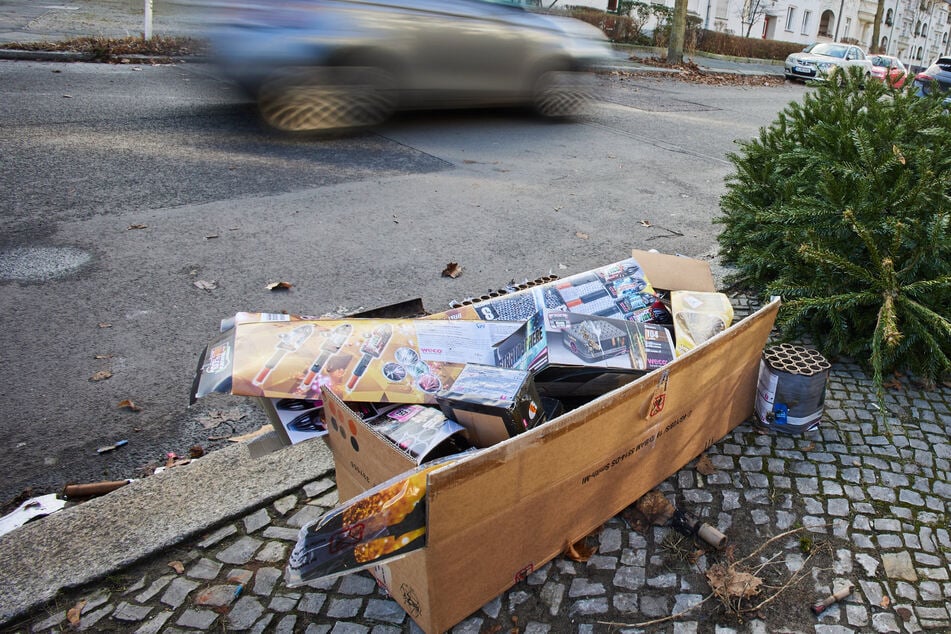 Weihnachtsbäume und Böller entsorgen: Das muss in Magdeburg beachtet werden