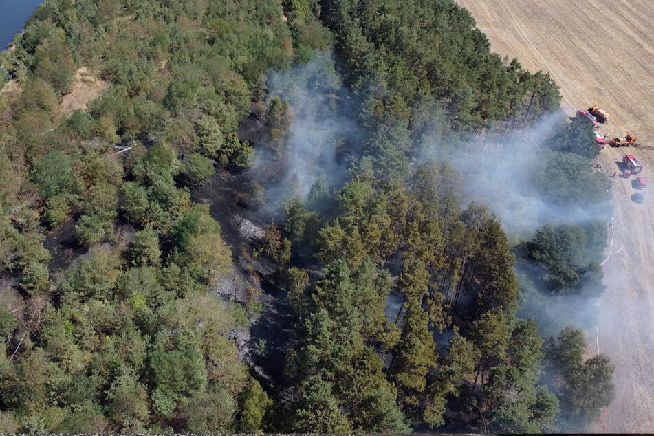 10.000 Quadratmeter Wald standen in Brand. Die Polizei konnte einen Tatverdächtigen ermitteln.
