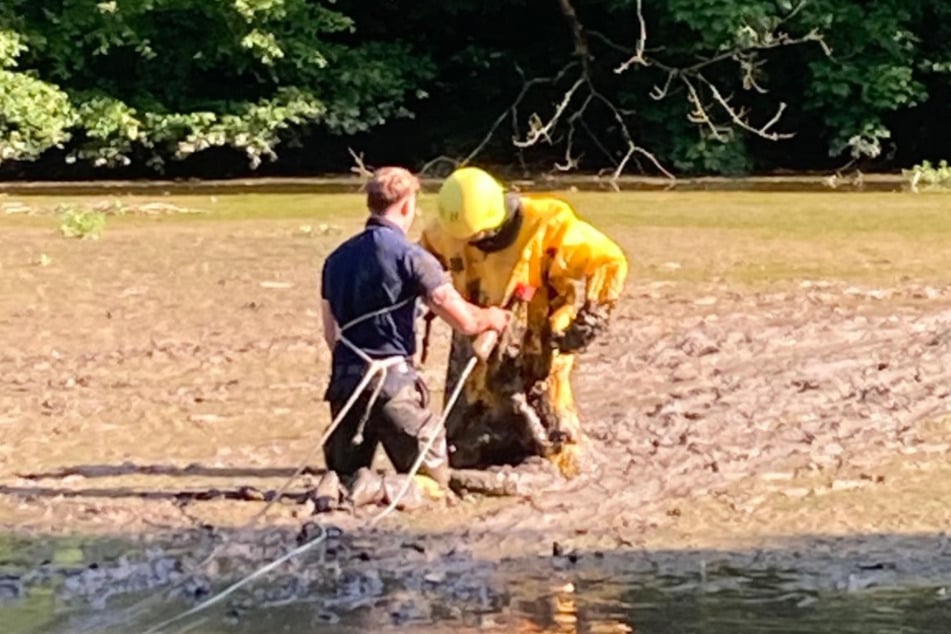 Die Feuerwehrkräfte waren unter anderem mit Seilen gesichert, ehe sie das Kind vorsichtig aus seiner misslichen Lage befreiten.
