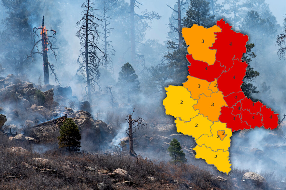 In Sachsen-Anhalt steigt die Waldbrandgefahr: Das ist jetzt zu beachten