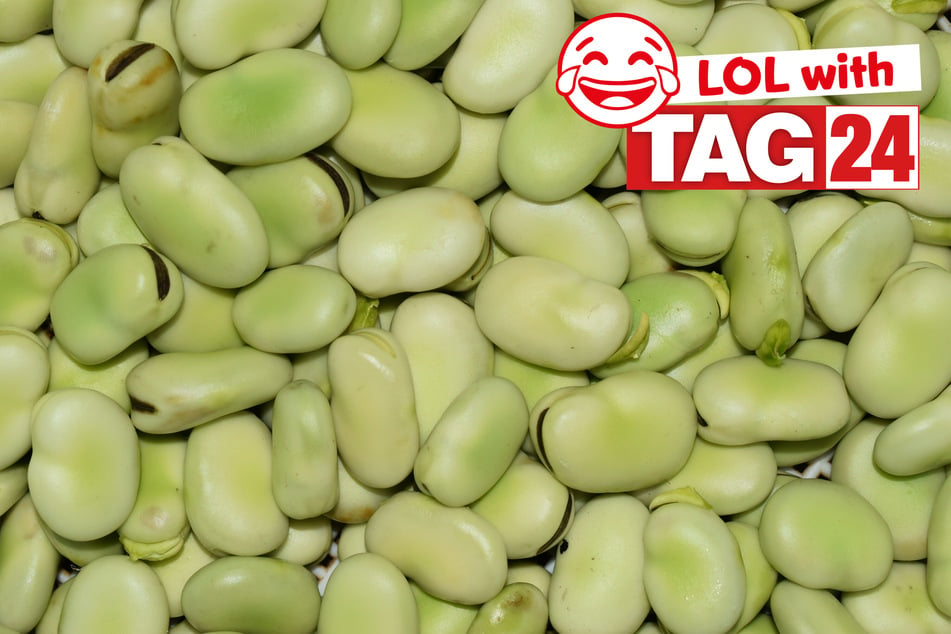 Today's Joke of the Day is bean-tastic!
