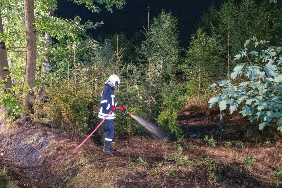 Einsatzkräfte der Feuerwehr konnten den Waldbrand zügig löschen.