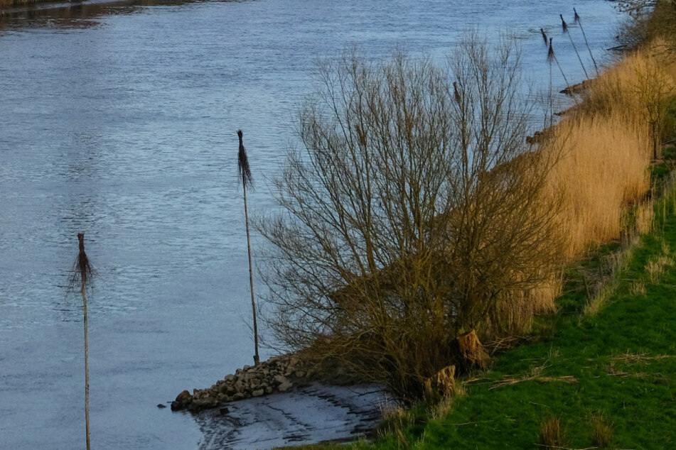 Mann will mit selbstgebautem Styropor-Boot über Fluss fahren, doch das geht gehörig schief