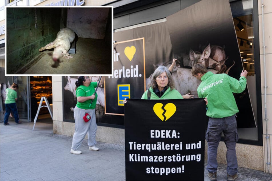 Die Aktivisten fordern von Edeka mehr Transparenz und eine tierfreundlichere Einkaufspolitik.