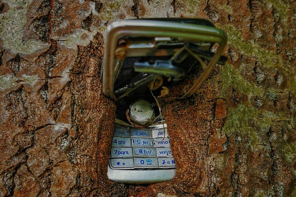 Der Baum hat das Handy mittlerweile regelrecht verschlungen.
