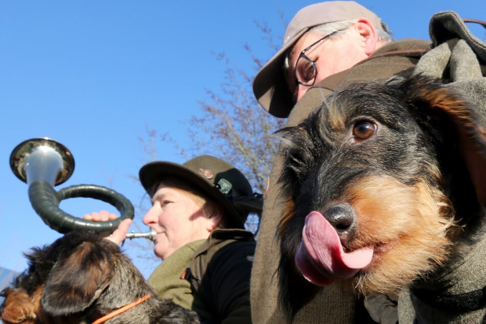Köln: Jagd & Hund: Weltweit größte Jagdmesse startet, Kinder erwartet buntes Programm