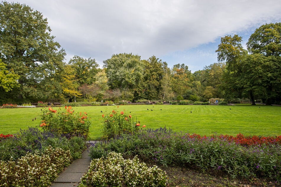 Der Clara-Zetkin-Park gehört zu den beliebtesten Parkanlagen Leipzigs. Künftig ist hier Rauchen "nicht erwünscht".