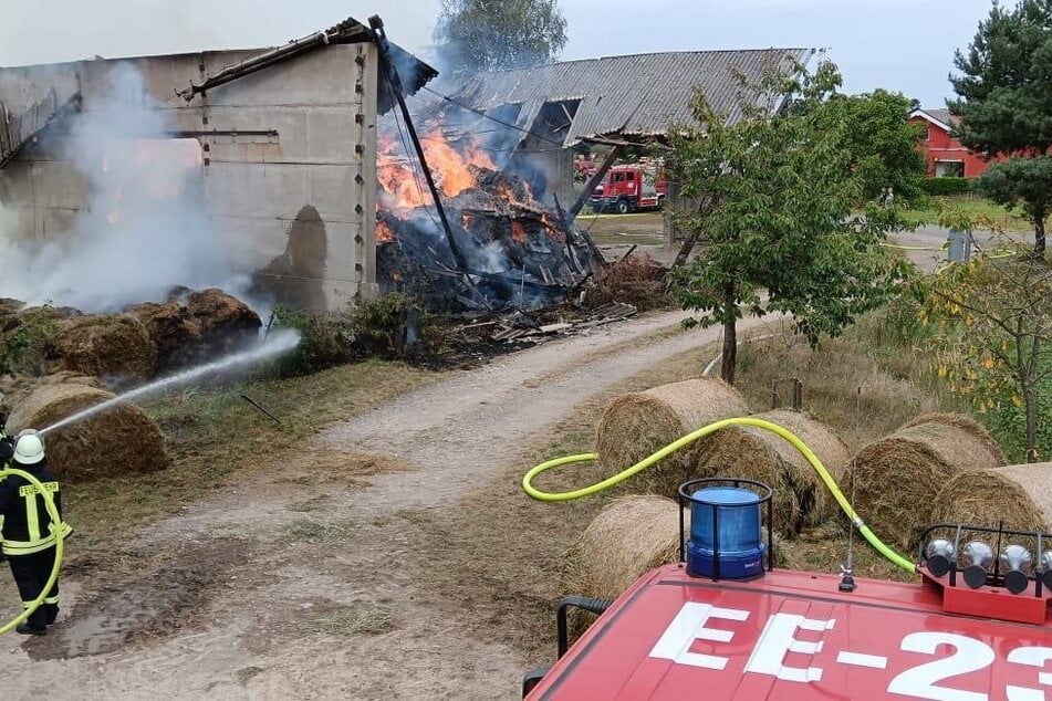 Die Halle brannte vollständig aus.