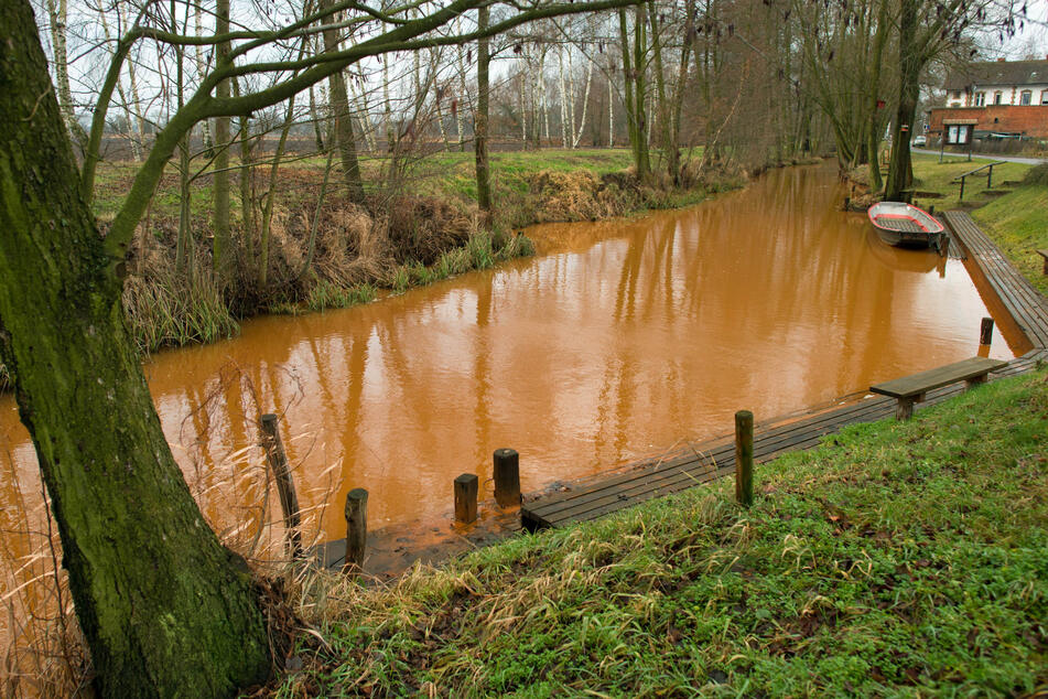 Bräunlich-rot ist das Wasser am Naturspreewaldhafen in Ragow. Bei Wassermanagement und -Reinigung vertiefen Sachsen und Brandenburg ihre Kooperation - zum Wohl von Spreewald und Berlin.