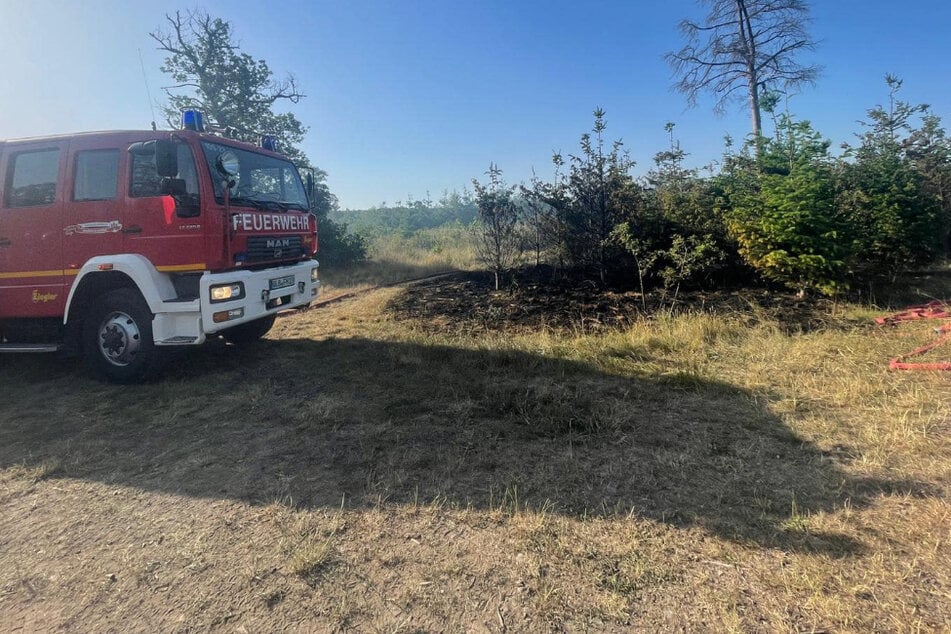 Nach Großfeuer am Freitag: Weiterer Waldbrand im Harz
