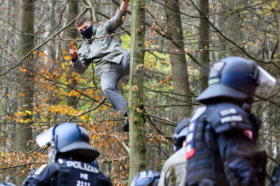 Ein Aktivist steht am 12. November über Einsatzkräften in einem Baum.