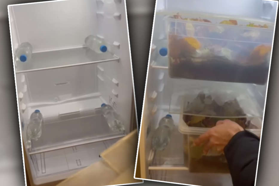 Das Tierheim quartierte die Landschildkröten in einem Kühlschrank ein, der eigens für den Winterschlaf der Tiere angeschafft wurde.