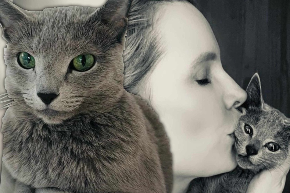 Süße Liebeserklärung von Mirja du Mont an ihre Katzen: "Sind meine Familienmitglieder"