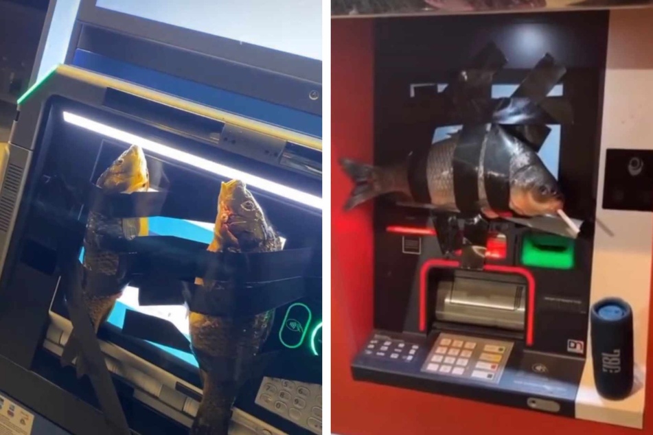 A teenager who allegedly taped fish to ATMs around the town of Provo, Utah, documented the fish-related crime spree for social media clout.