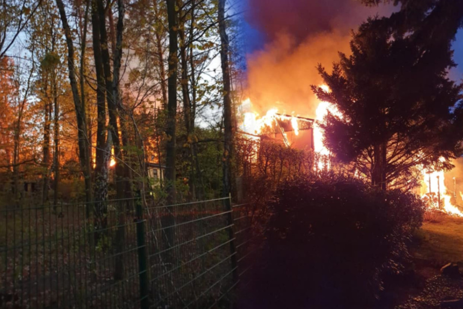 Enorme Flammen schlagen aus der Bungalowanlage in einem Radebeuler Waldgebiet.