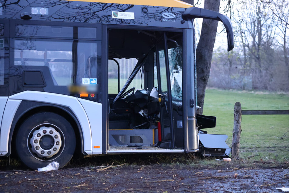 Der Busfahrer und ein Fahrgast sollen schwere Verletzungen erlitten haben.