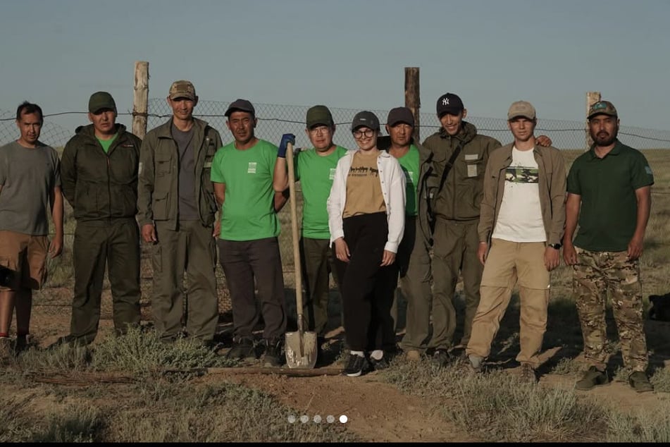 Ein Team vor Ort hilft mit, die Pferde wieder in ihrem natürlichen Habitat anzusiedeln.