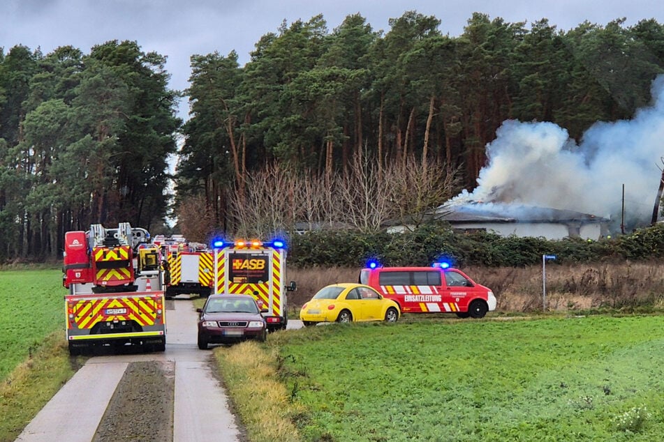 Feuerwehr rettet fünf Hunde aus brennendem Haus: Ein Detail macht stutzig