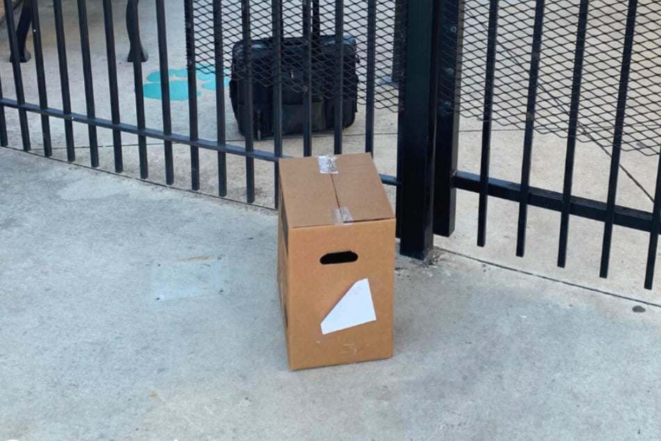 This cardboard box saw the woman immediately.